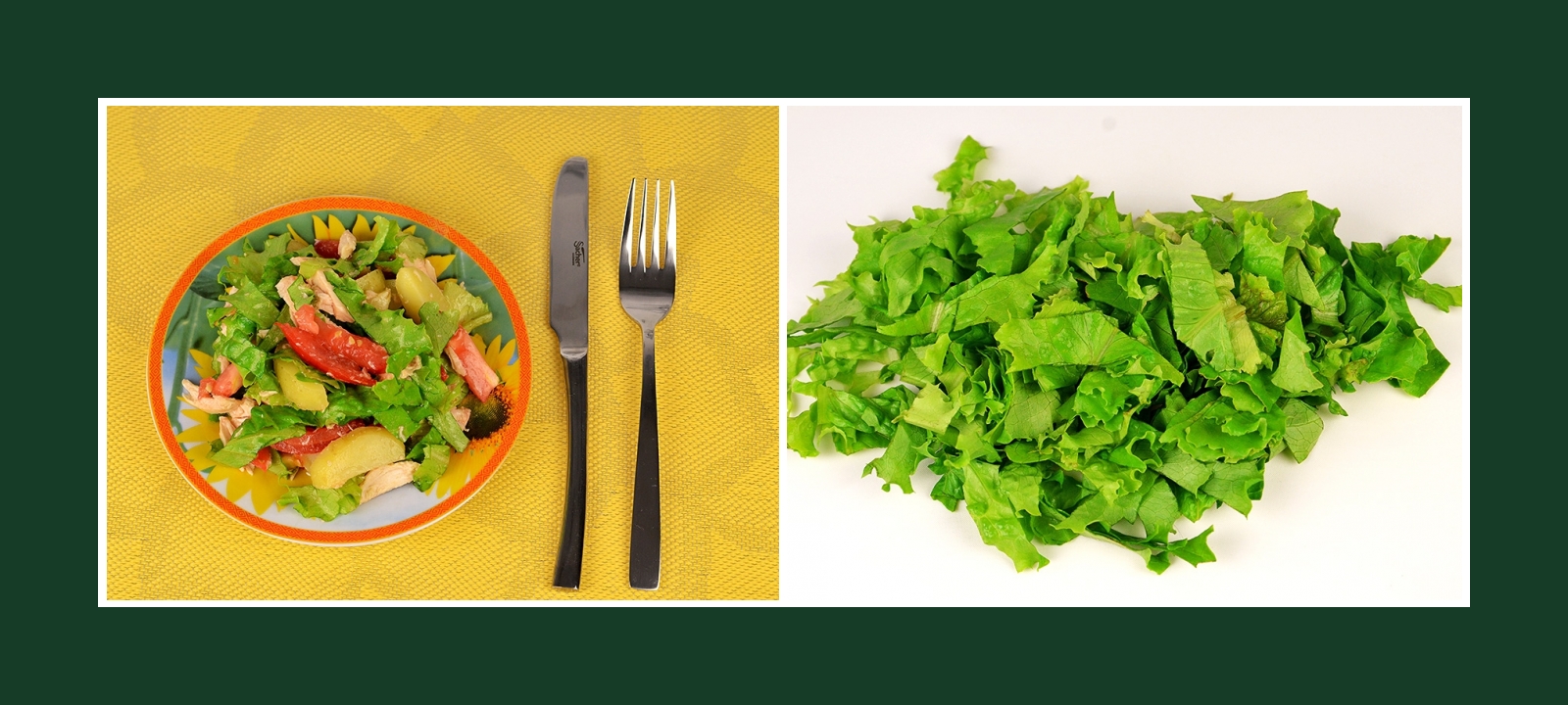 Grüne Salatblätter für Kartoffelsalat Fleischsalat