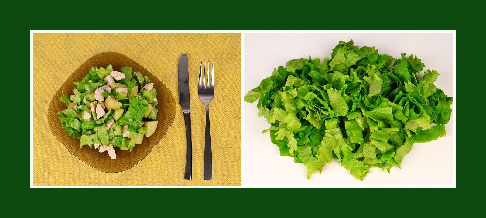 Salat für grünen Frühlingssalat